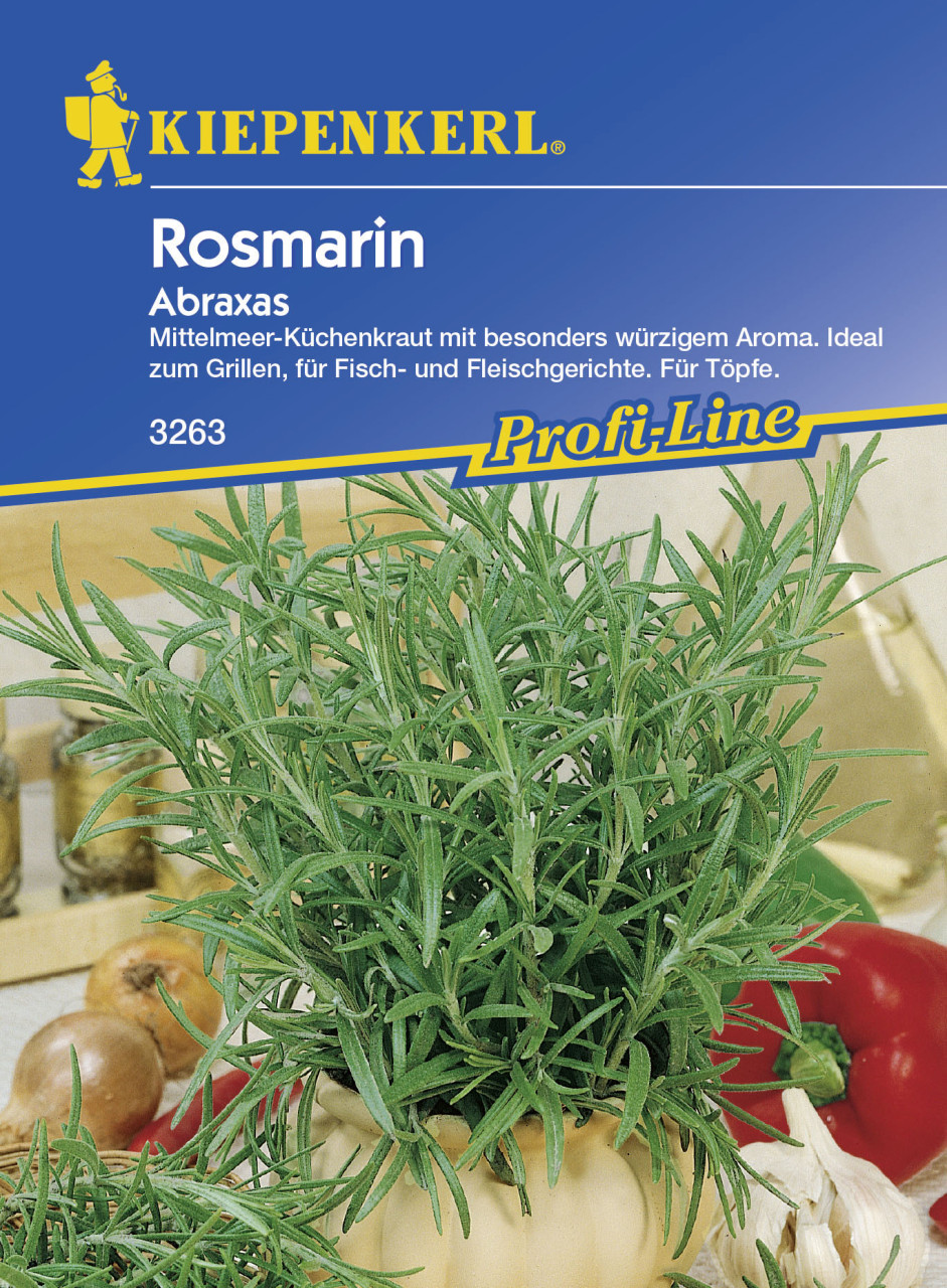 Kiepenkerl Rosmarin Abraxas Rosmarinus officinalis, Inhalt: ca. 50 Pflanzen von Kiepenkerl