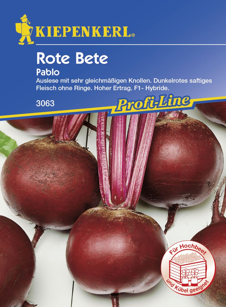 Kiepenkerl Rote Bete Pablo Beta vulgaris subsp. vulgaris, Inhalt: ca. 100 Pflanzen von Kiepenkerl