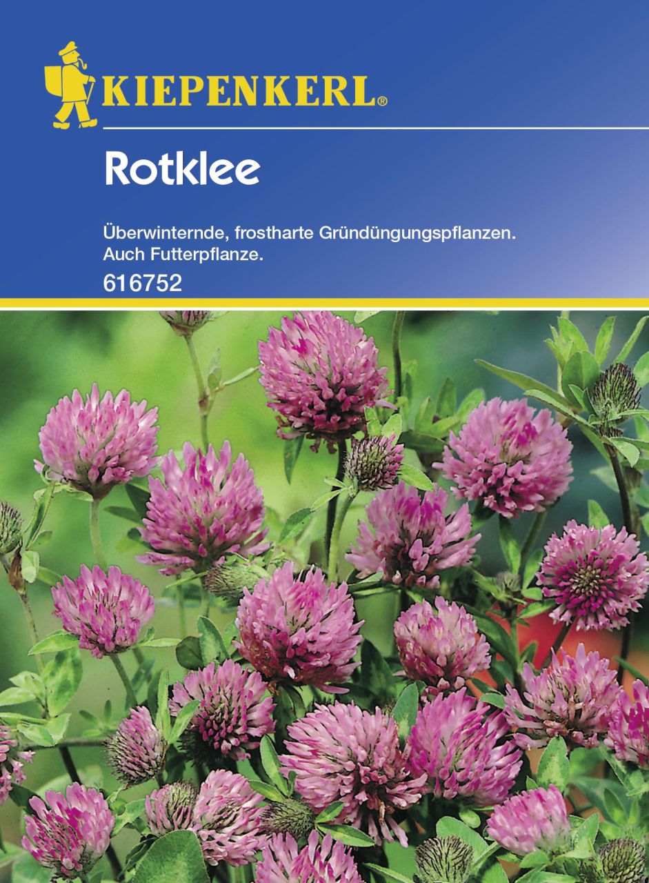 Kiepenkerl Rotklee Trifolium pratense, Inhalt: 50 g von Kiepenkerl