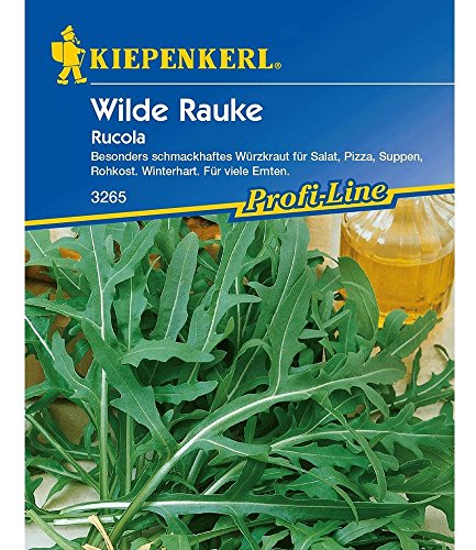 Kiepenkerl Rucola 'Wilde Rauke',1 Portion von Kiepenkerl