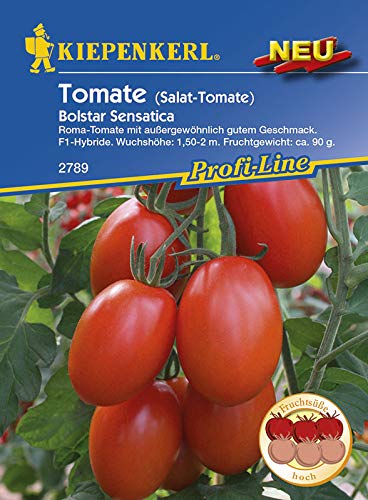 Kiepenkerl Saatgut, Tomate"Bolstar Sensatica", Inhalt 6 Korn, Pflaumentomate, Fruchtgewicht ca. 90 gr, hohen Ertrag, ideal für den biologischen Anbau von Kiepenkerl