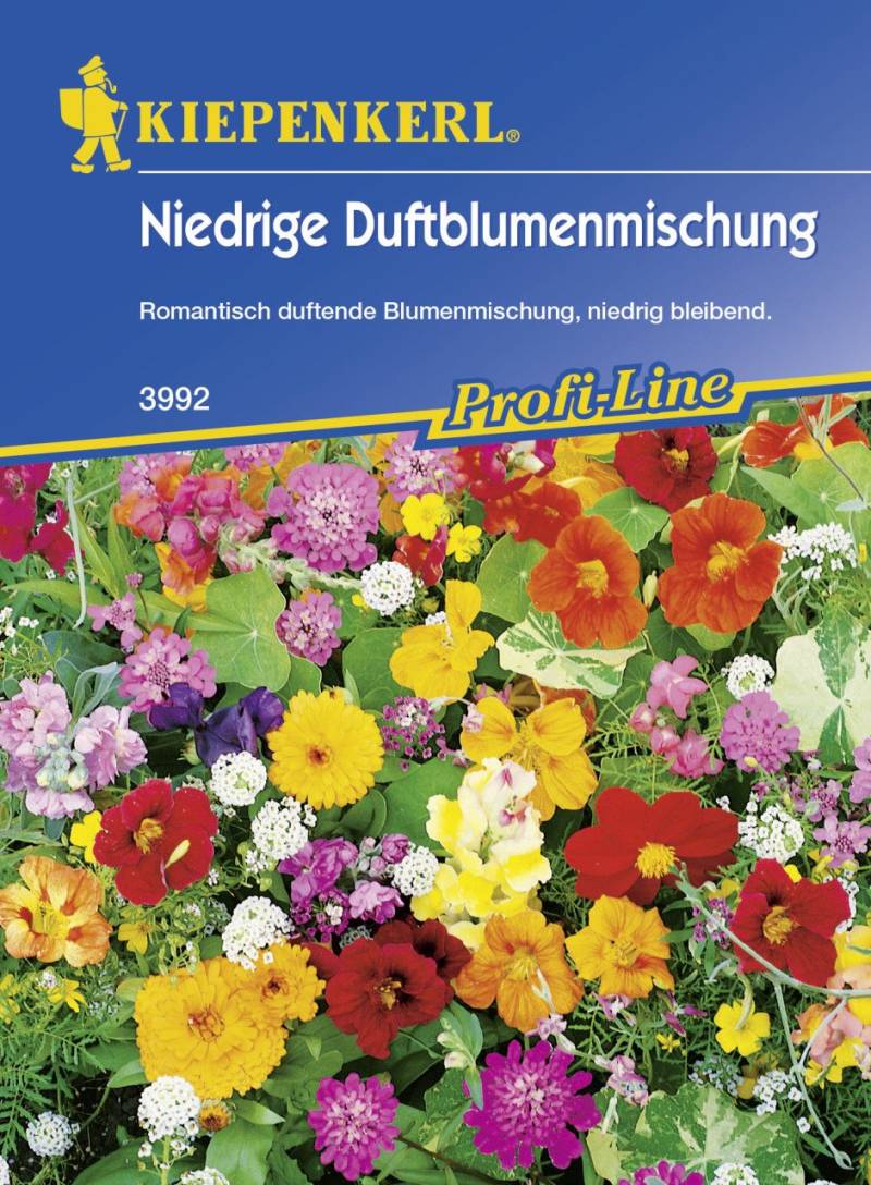 Kiepenkerl Saatgut Duftblumenmischung 2-4 m² von Kiepenkerl