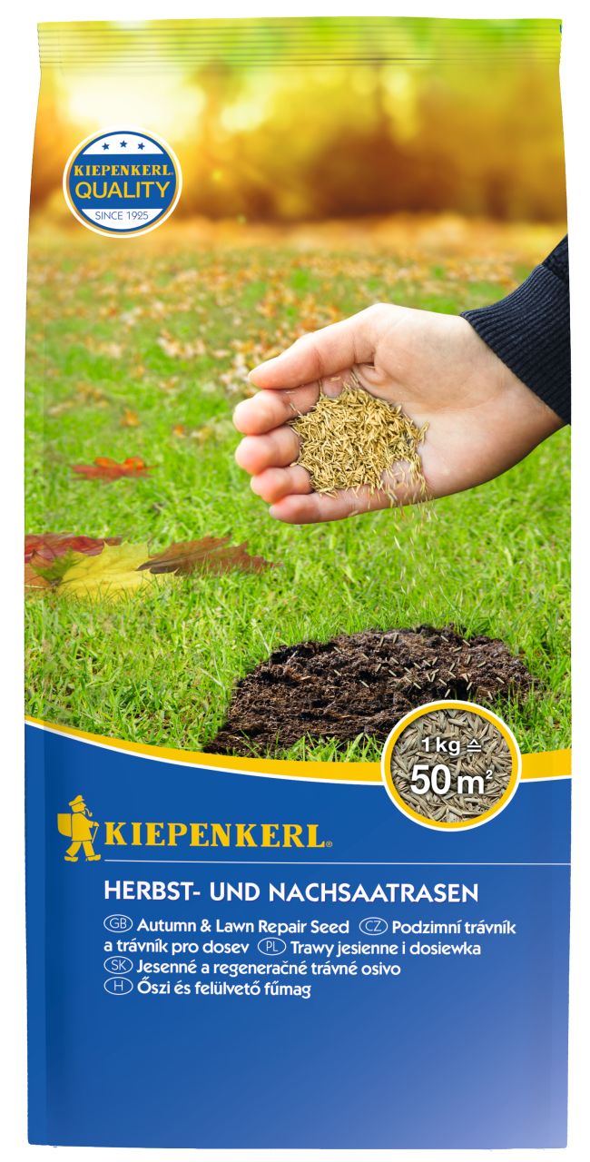 Kiepenkerl Saatgut Herbst- und Nachsaatrasen 1 kg, für 50 m² von Kiepenkerl