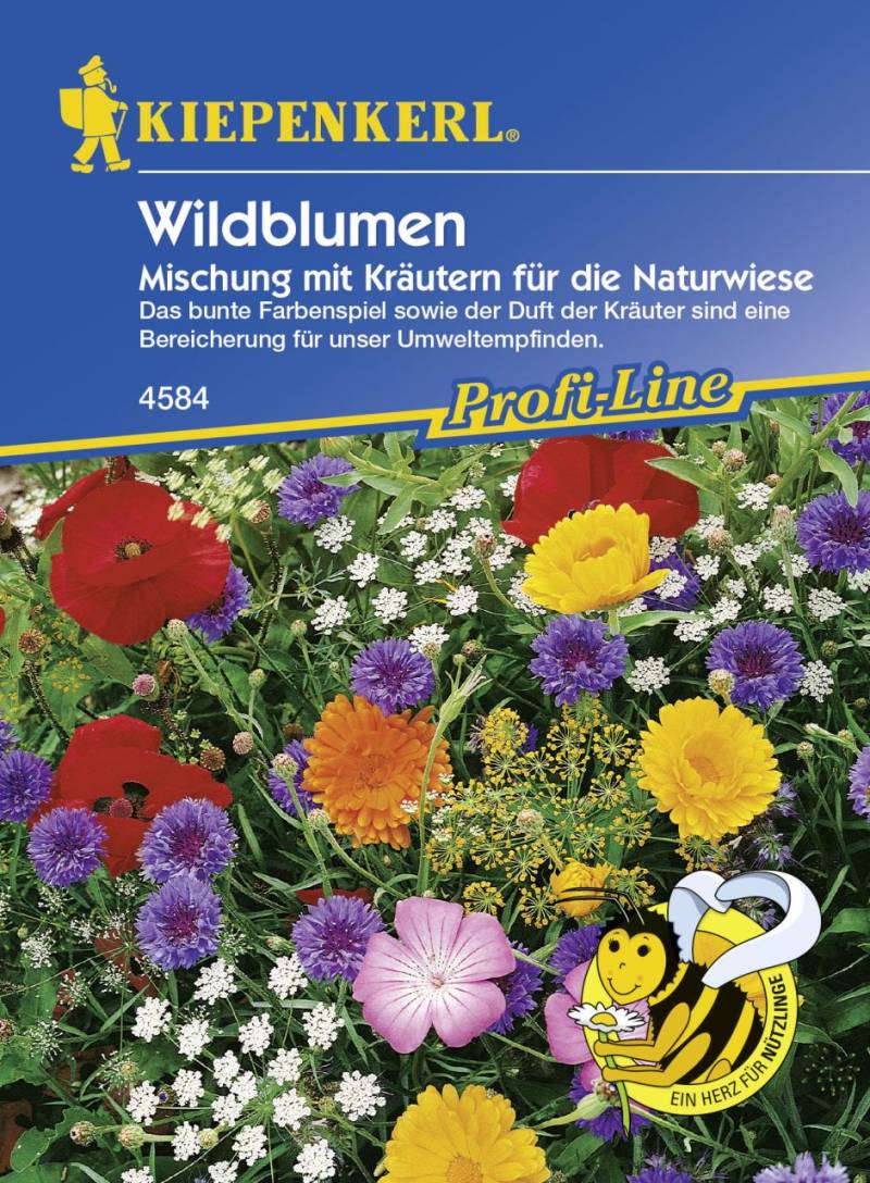 Kiepenkerl Saatgut Wildblumen 2-3 m² von Kiepenkerl