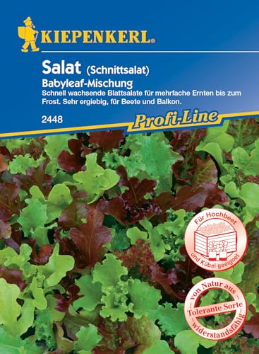 Kiepenkerl Profi-Line Salat Schnittsalatsamen Babyleaf-Mischung 2448, Gemüsesamen für Hochbeet & Kübel, Mehrfachernte, Schnellwachsend, Zarter Geschmack von Kiepenkerl