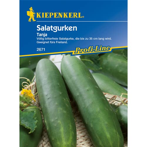 Kiepenkerl Salatgurken Tanja von Kiepenkerl