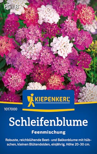 Kiepenkerl Schleifenblumesamen Feenmischung 1017000 - Einjährige Blumensamen mit einer Wuchshöhe von 20 bis 30cm und einem Inhalt für 90 Pflanzen - Saatgut Kiepenkerl Schleifenblumesamen Feenmischung 1017000 - Einjährige Blumensamen mit einer Wuchshöhe von 20 bis 30cm und einem Inhalt für 90 Pflanzen - Saatgut von Kiepenkerl