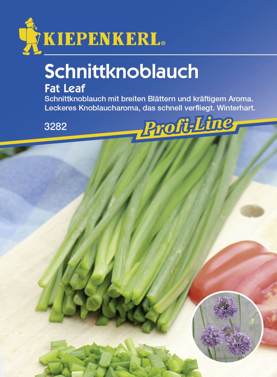 Kiepenkerl Schnittknoblauch Fat Leaf Allium tuberosum, Inhalt: ca. 25 Pflanzen von Kiepenkerl