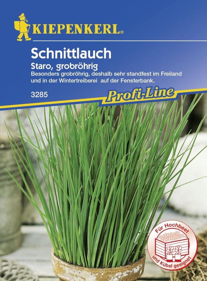 Kiepenkerl Schnittlauch Staro ca. 100 Pflanzen von Kiepenkerl