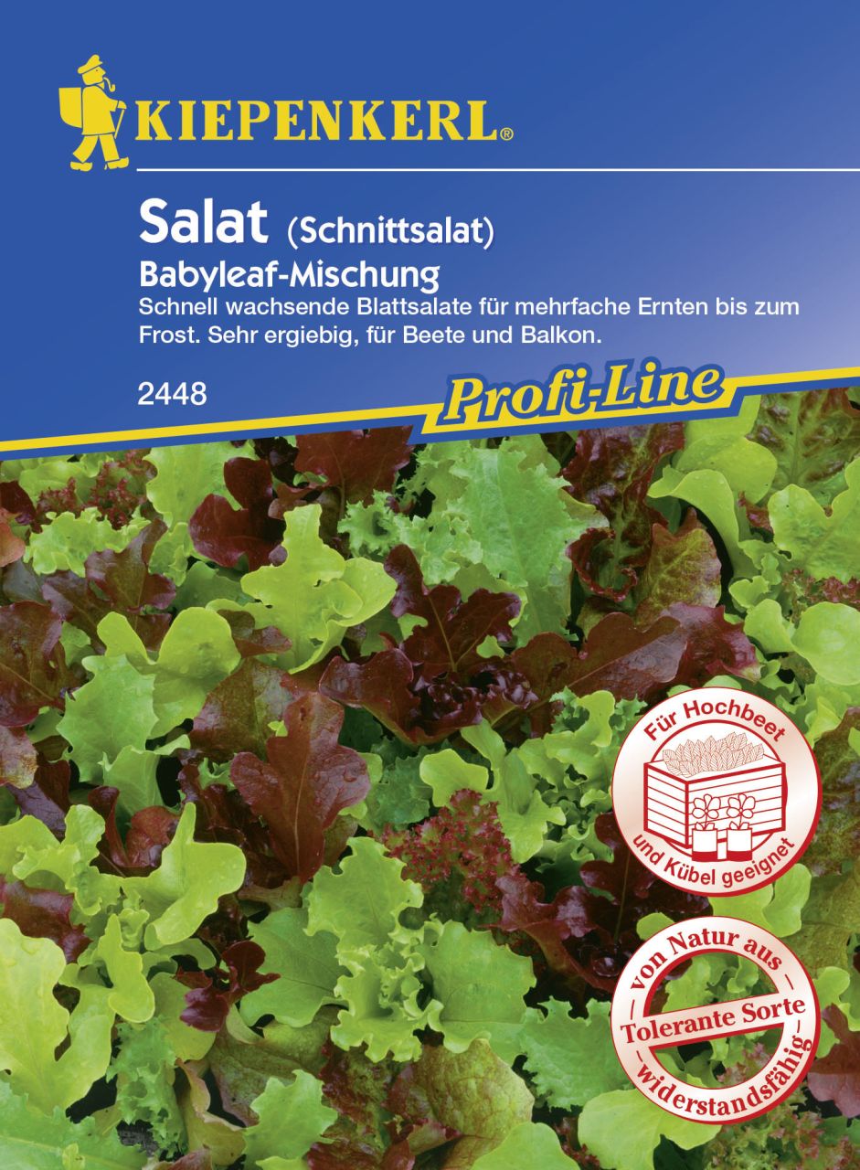 Kiepenkerl Schnittsalat Babyleaf-Mischung Lactuca sativa var. capitata, Inhalt: ca. 3 lfd. Meter von Kiepenkerl