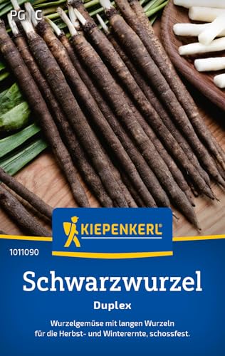 Kiepenkerl Schwarzwurzelsamen Duplex 1011090 – Gemüsesamen für ein Wurzelgemüse mit langen Wurzeln und einem Inhalt für 3 bis 5 lfd. Meter - Saatgut Kiepenkerl Schwarzwurzelsamen Duplex 1011090 – Gemüsesamen für ein Wurzelgemüse mit langen Wurzeln und einem Inhalt für 3 bis 5 lfd. Meter - Saatgut von Kiepenkerl