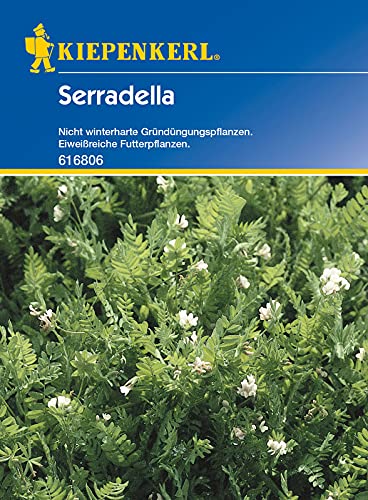 Kiepenkerl Serradella, 60 g von Kiepenkerl