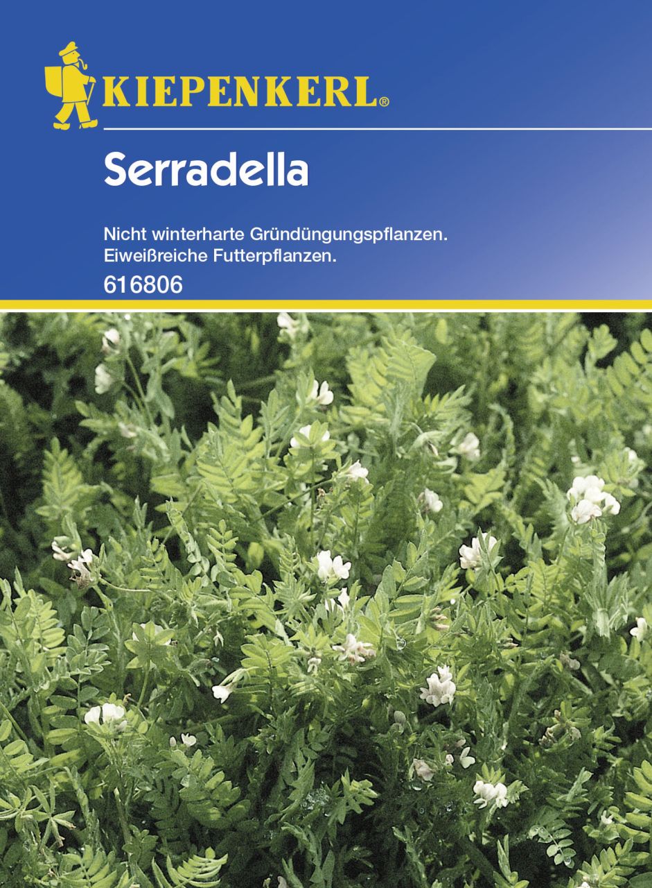 Kiepenkerl Serradella Ornithupus sativus, Inhalt: 60 g von Kiepenkerl