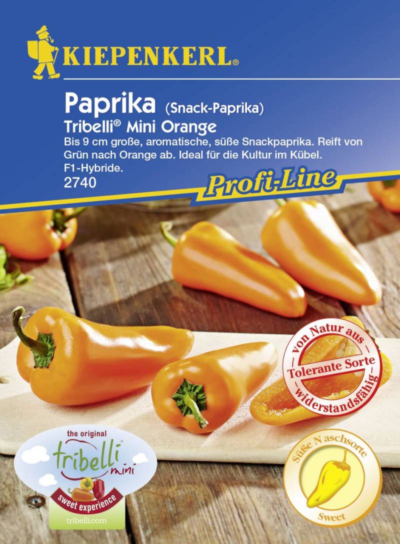 Kiepenkerl Snackpaprika Tribelli® Mini Orange Capsicum annuum, Inhalt: 5 Korn von Kiepenkerl