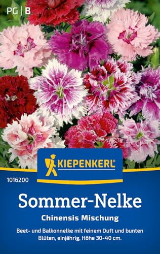 Kiepenkerl Sommer-Nelkensamen Chinensis Mischung 1016200 - Einjährige Blumensamen mit einer Wuchshöhe von 30 bis 40cm und Inhalt für 80 Pflanzen - Saatgut Kiepenkerl Sommer-Nelkensamen Chinensis Mischung 1016200 - Einjährige Blumensamen mit einer Wuchshöhe von 30 bis 40cm und Inhalt für 80 Pflanzen - Saatgut von Kiepenkerl