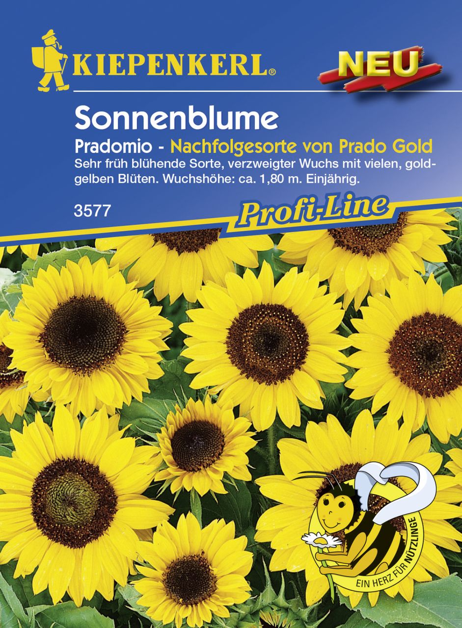 Kiepenkerl Sonnenblume Pradomio Inhalt reicht für ca. 30 Pflanzen von Kiepenkerl