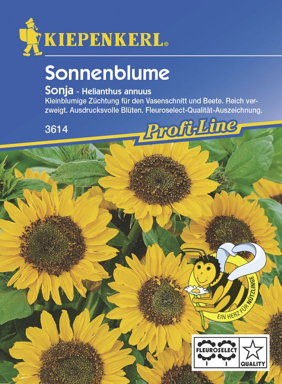 Kiepenkerl Sonnenblume Sonja F1 Inhalt reicht für ca. 40 Pflanzen von Kiepenkerl
