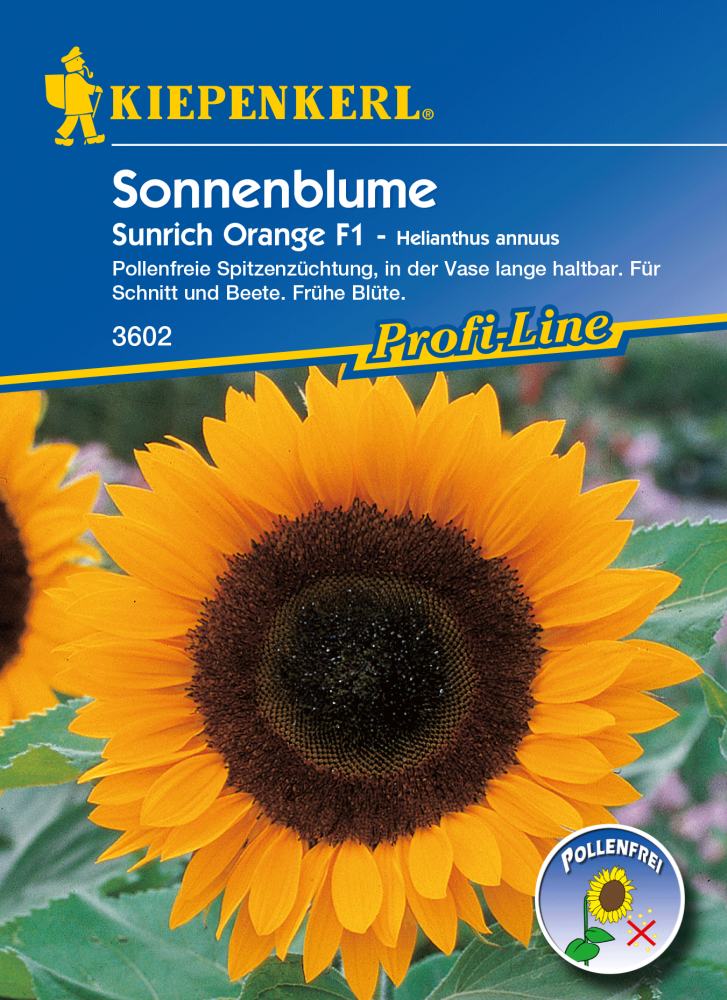 Kiepenkerl Sonnenblume Sunrich Orange Helianthus annuus, Inhalt: ca. 25 Pflanzen von Kiepenkerl