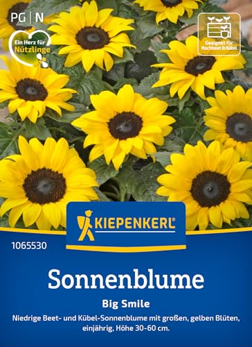 Kiepenkerl Sonnenblumensamen Big Smile 1065530 - Große goldgelbe Sonnenblumen - perfekt für Kübel und Töpfe - Wildblumensamen, Blumenwiese, Saatgut von Kiepenkerl
