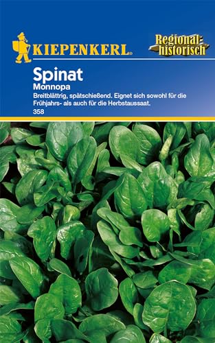 Kiepenkerl Spinatsamen Monnopa 358 - Resistente Sorte für Frühjahr- und Herbstanbau, Dunkelgrüne, glänzende Blätter, breitblättrige Saat, Hoher Ertrag, Mehltauresistent, Winterhart, Gemüsesamen Kiepenkerl Spinatsamen Monnopa 358 - Resistente Sorte für Frühjahr- und Herbstanbau, Dunkelgrüne, glänzende Blätter, breitblättrige Saat, Hoher Ertrag, Mehltauresistent, Winterhart, Gemüsesamen von Kiepenkerl