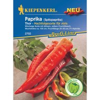 Spitzpaprika Thor F1 Gemüsesamen - Kiepenkerl Spitzpaprika Thor F1 Gemüsesamen - Kiepenkerl von Kiepenkerl