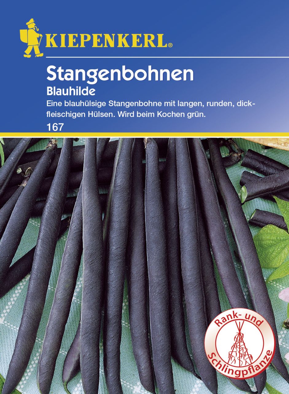 Kiepenkerl Stangenbohne Blauhilde Phaseolus vulgaris var. vulgaris, Inhalt: 8-10 Stangen von Kiepenkerl