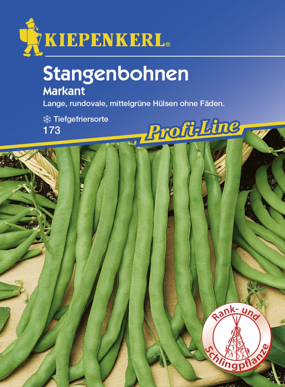 Kiepenkerl Stangenbohne Markant Phaseolus vulgaris var. vulgaris, Inhalt: 8-10 Stangen von Kiepenkerl