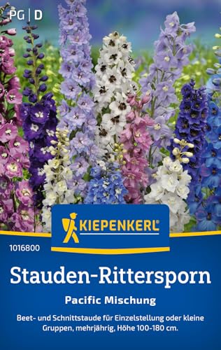 Kiepenkerl Stauden-Ritterspornsamen Pacific Mischung 1016800 - Mehrjährige Blumensamen mit einer Wuchshöhe von 100 bis 180cm und einem Inhalt für 40 Pflanzen - Saatgut Kiepenkerl Stauden-Ritterspornsamen Pacific Mischung 1016800 - Mehrjährige Blumensamen mit einer Wuchshöhe von 100 bis 180cm und einem Inhalt für 40 Pflanzen - Saatgut von Kiepenkerl