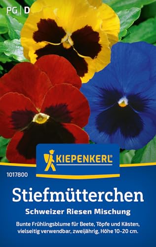 Kiepenkerl Stiefmütterchensamen Schweizer Riesen Mischung 1017800 - bunte Frühlingsblume für Beete, Töpfe und Kästen - Blumensamen, Blumenwiese, Saatgut von Kiepenkerl