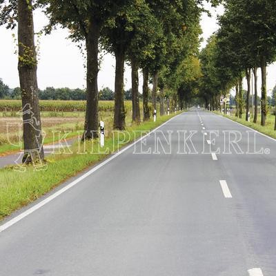 Kiepenkerl Straßenbegleitgrün DSV 820 von Kiepenkerl