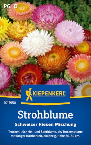 Kiepenkerl Strohblumensamen Schweizer Riesen Mischung 1017950 - Einjährige Blumensamen mit einer Wuchshöhe von 60 bis 80cm und Inhalt für 100 Pflanzen - Saatgut Kiepenkerl Strohblumensamen Schweizer Riesen Mischung 1017950 - Einjährige Blumensamen mit einer Wuchshöhe von 60 bis 80cm und Inhalt für 100 Pflanzen - Saatgut von Kiepenkerl