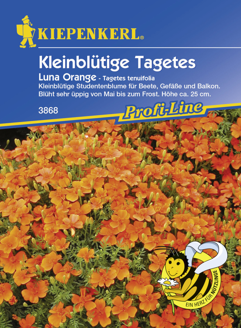 Kiepenkerl Studentenblume Luna (Gem) Orange Tagetes tenuifolia, Inhalt: ca. 80 Pflanzen von Kiepenkerl