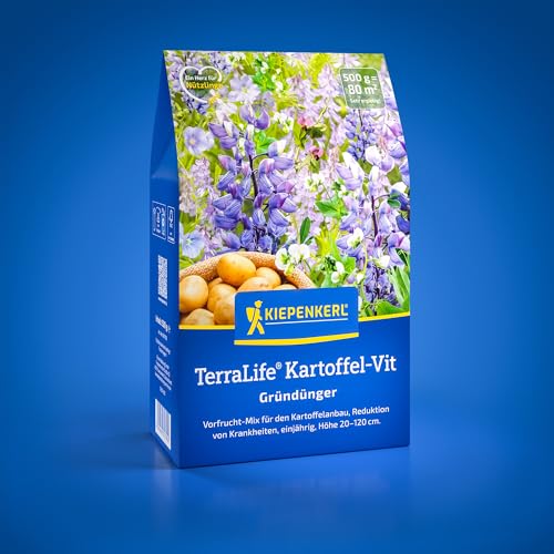 Kiepenkerl TerraLife® Kartoffel-Vit 1081700 - Gründüngersaatgut für den Kartoffelanbau - Reduktion von Krankheiten - Gründünger, Bodenlockerung, Bodenverbesserer von Kiepenkerl