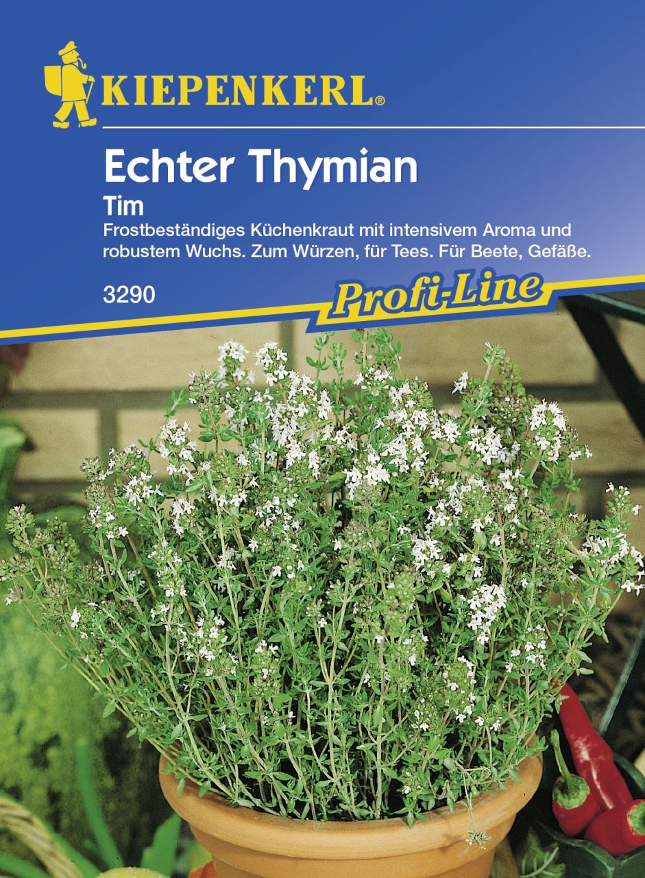 Kiepenkerl Thymian Tim Thymus vulgaris, Inhalt: ca. 80 Pflanzen von Kiepenkerl