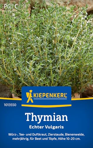 Kiepenkerl Thymiansamen Echter Vulgaris 1013550 - Mehrjähriges Kraut mit einer Höhe von 10 bis 20 cm und einem Inhalt für 150 Pflanzen - Kräutersamen, Saatgut Kiepenkerl Thymiansamen Echter Vulgaris 1013550 - Mehrjähriges Kraut mit einer Höhe von 10 bis 20 cm und einem Inhalt für 150 Pflanzen - Kräutersamen, Saatgut von Kiepenkerl