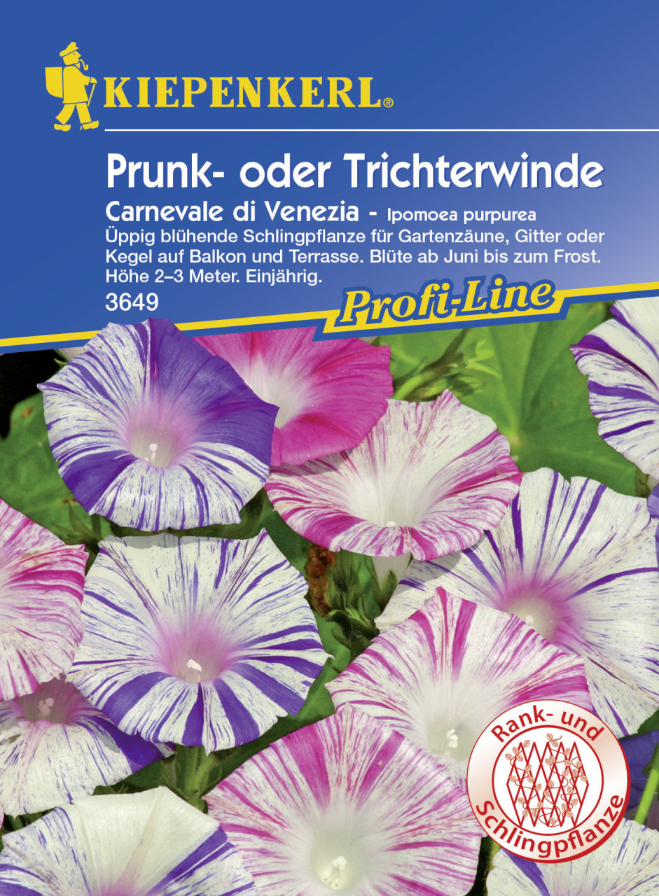 Kiepenkerl Trichterwinde Carneval Di Venezia Ipomoea tricolor, Inhalt: ca. 30 Pflanzen von Kiepenkerl