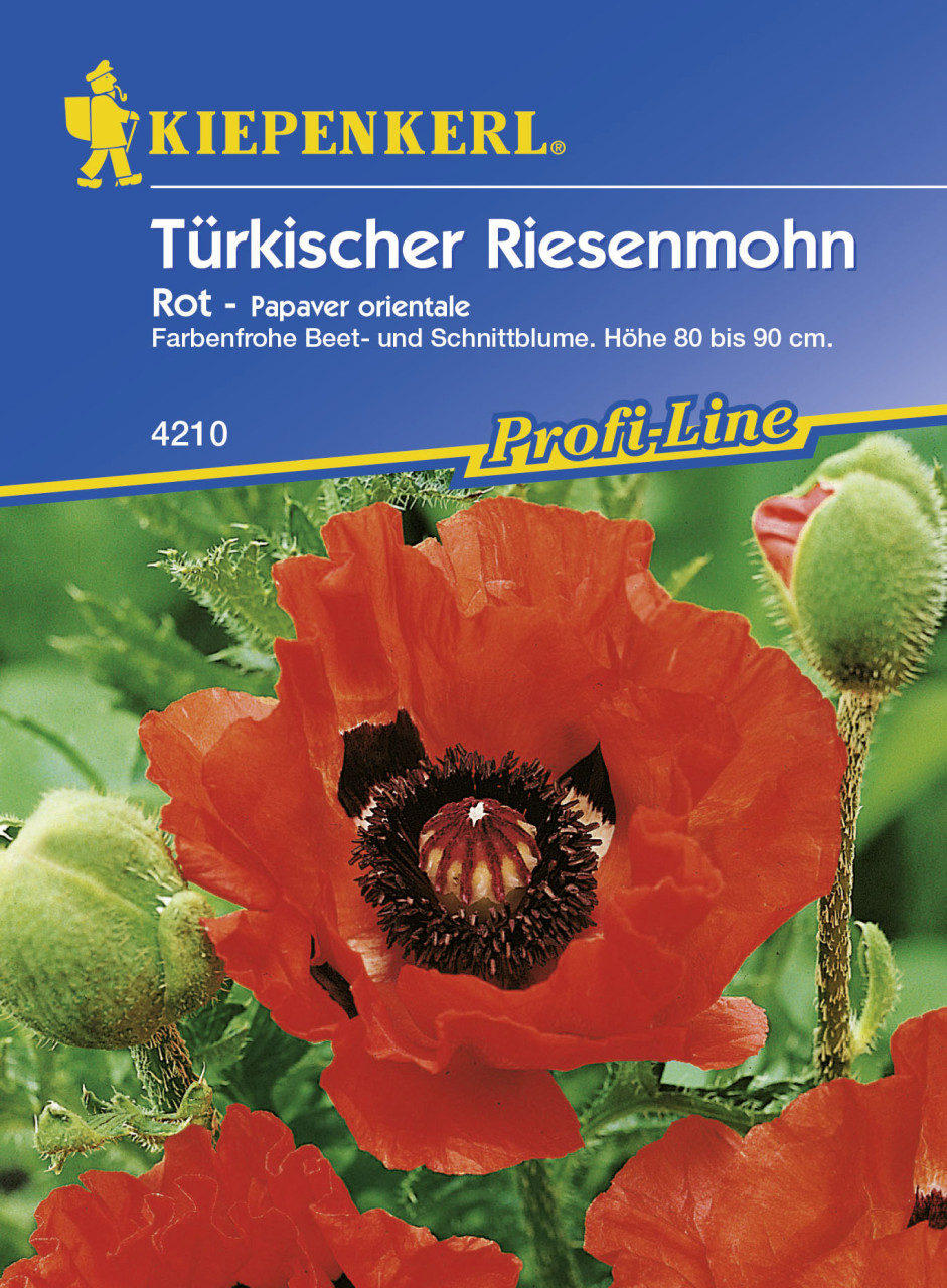 Kiepenkerl Türkischer Riesemohn Olympiafeuer Papaver orientale, Inhalt: ca. 25 Pflanzen von Kiepenkerl