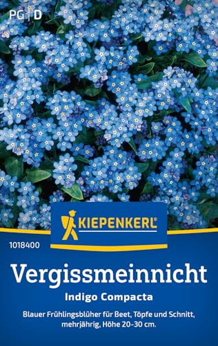 Kiepenkerl Vergissmeinnichtsamen Indigo Compacta 1018400 - Pflegeleichte Vergissmeinnicht-Samen für Blumenwiese, Essbare Blüten, Ideal für Gärtner, Mehrjährig Kiepenkerl Vergissmeinnichtsamen Indigo Compacta 1018400 - Pflegeleichte Vergissmeinnicht-Samen für Blumenwiese, Essbare Blüten, Ideal für Gärtner, Mehrjährig von Kiepenkerl