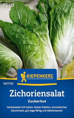 Kiepenkerl Zichoriensalatsamen Zuckerhut 1007750 - Salatsamen für einen Herbstsalat mit festen Köpfen und einem Inhalt für 200 Pflanzen - Saatgut Kiepenkerl Zichoriensalatsamen Zuckerhut 1007750 - Salatsamen für einen Herbstsalat mit festen Köpfen und einem Inhalt für 200 Pflanzen - Saatgut von Kiepenkerl