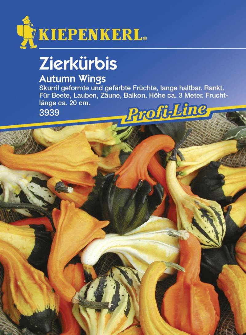 Kiepenkerl Zierkürbis Autumn Wings Cucurbita pepo, Inhalt: ca. 10 Pflanzen von Kiepenkerl