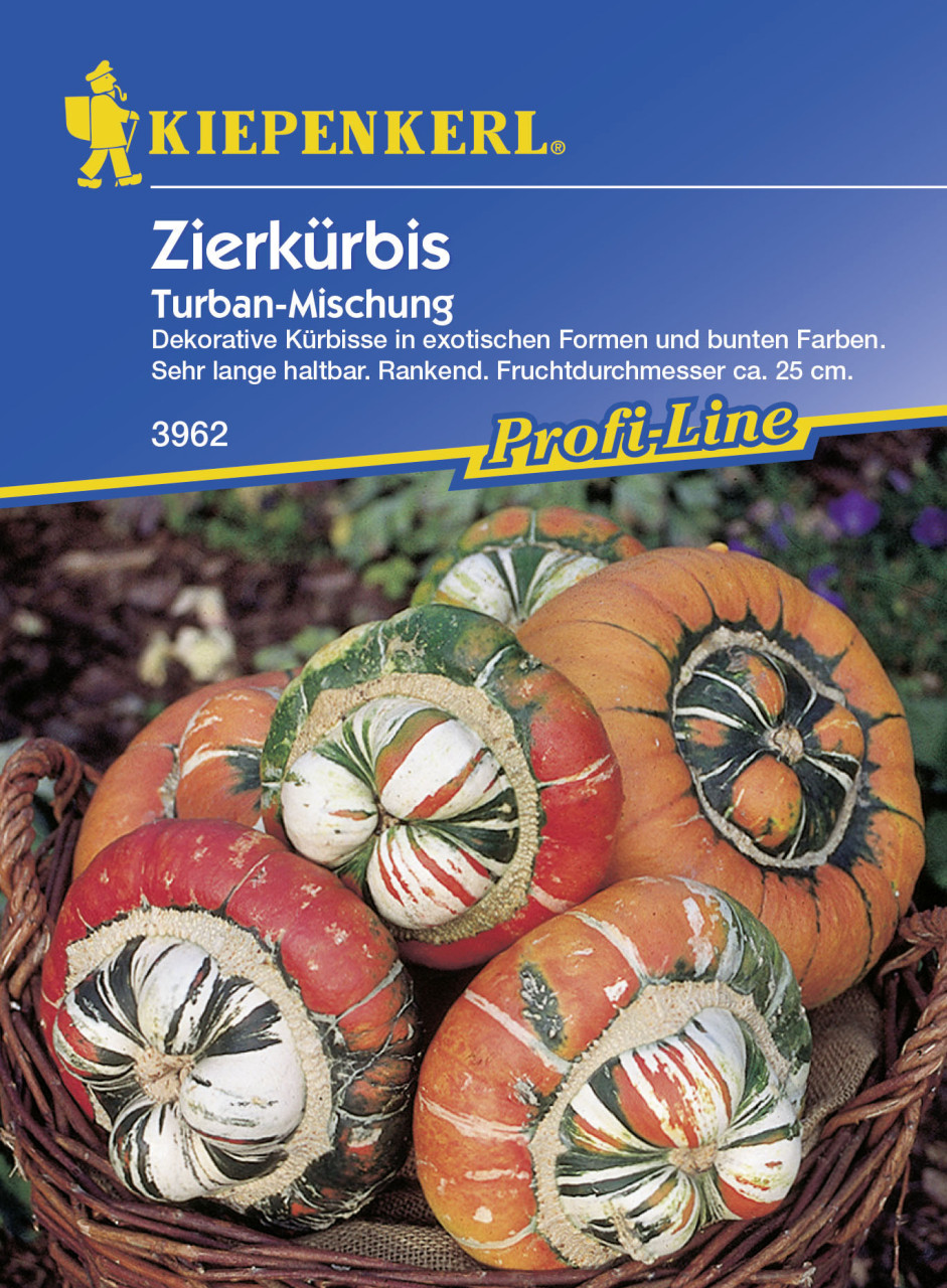 Kiepenkerl Zierkürbis Turban Cucurbita pepo, Inhalt: ca. 5 Pflanzen von Kiepenkerl