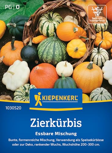 Kiepenkerl Zierkürbissamen Essbare Mischung 1030520 - Kürbissamen in verschiedenen Farben und Formen, als Speisekürbis oder zur Deko, rankender Wuchs bis zu 300 cm Kiepenkerl Zierkürbissamen Essbare Mischung 1030520 - Kürbissamen in verschiedenen Farben und Formen, als Speisekürbis oder zur Deko, rankender Wuchs bis zu 300 cm von Kiepenkerl