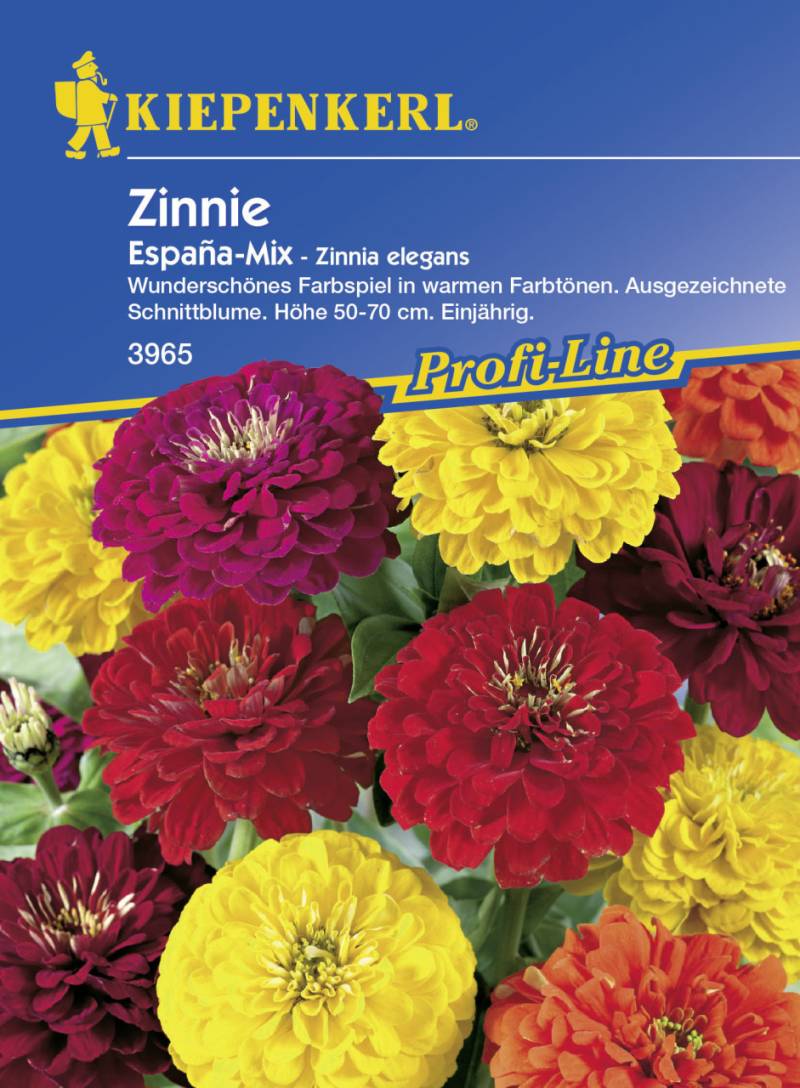 Kiepenkerl Zinnie Espana Zinnia elegans, Inhalt: ca. 70 Pflanzen von Kiepenkerl