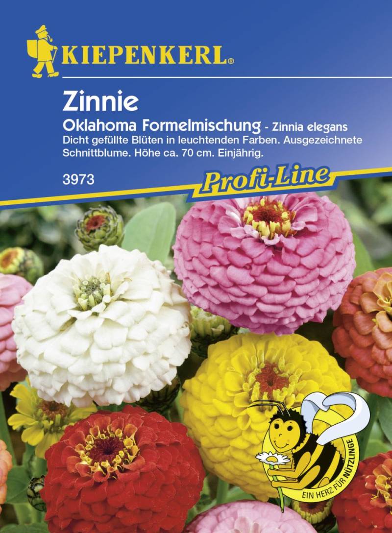 Kiepenkerl Zinnie Oklahoma Zinnia elegans, Inhalt: ca. 50 Pflanzen von Kiepenkerl