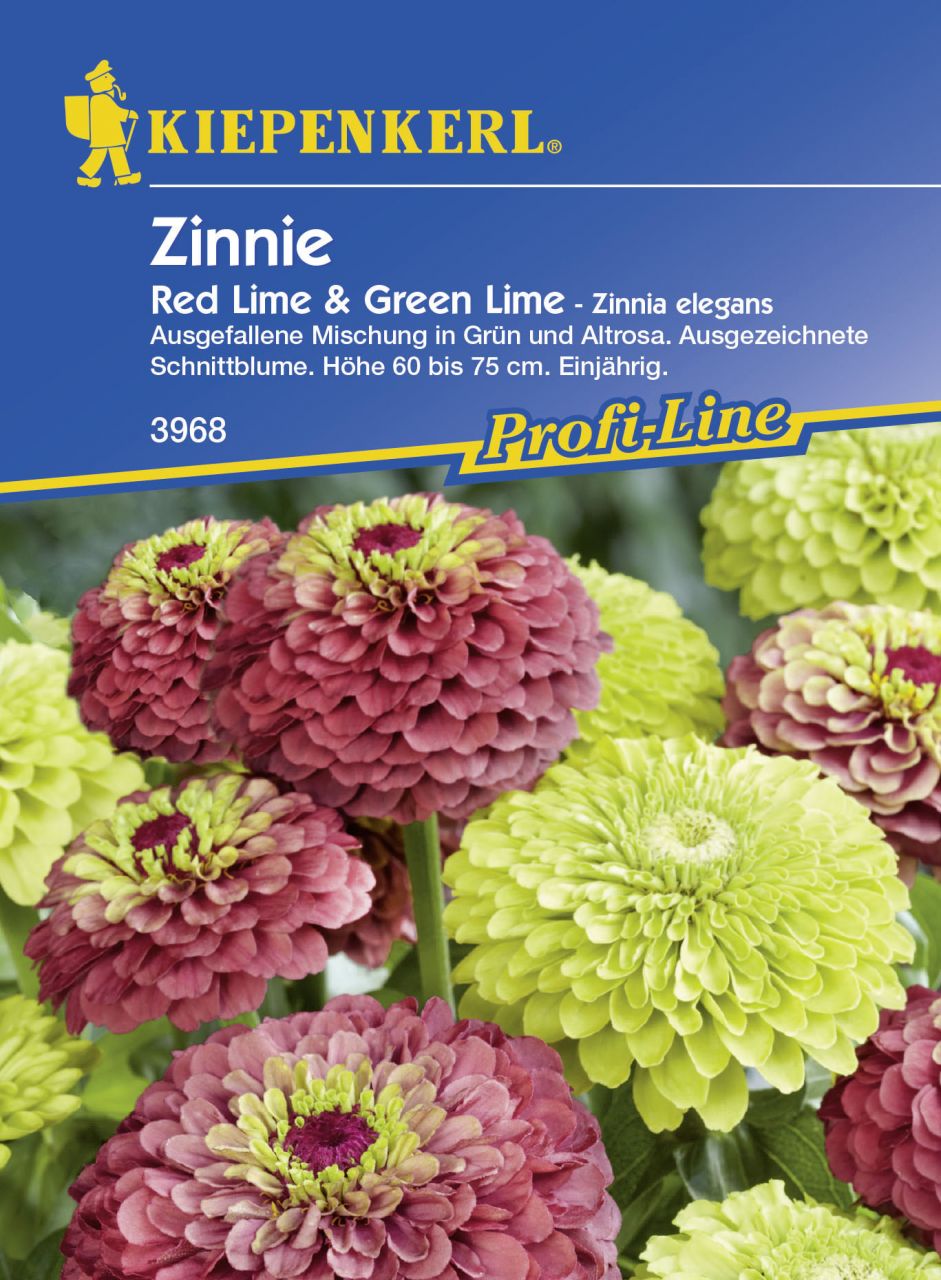 Kiepenkerl Zinnie Red Lime + Green Lime Zinnia angustifolia, Inhalt: ca. 20 Pflanzen von Kiepenkerl