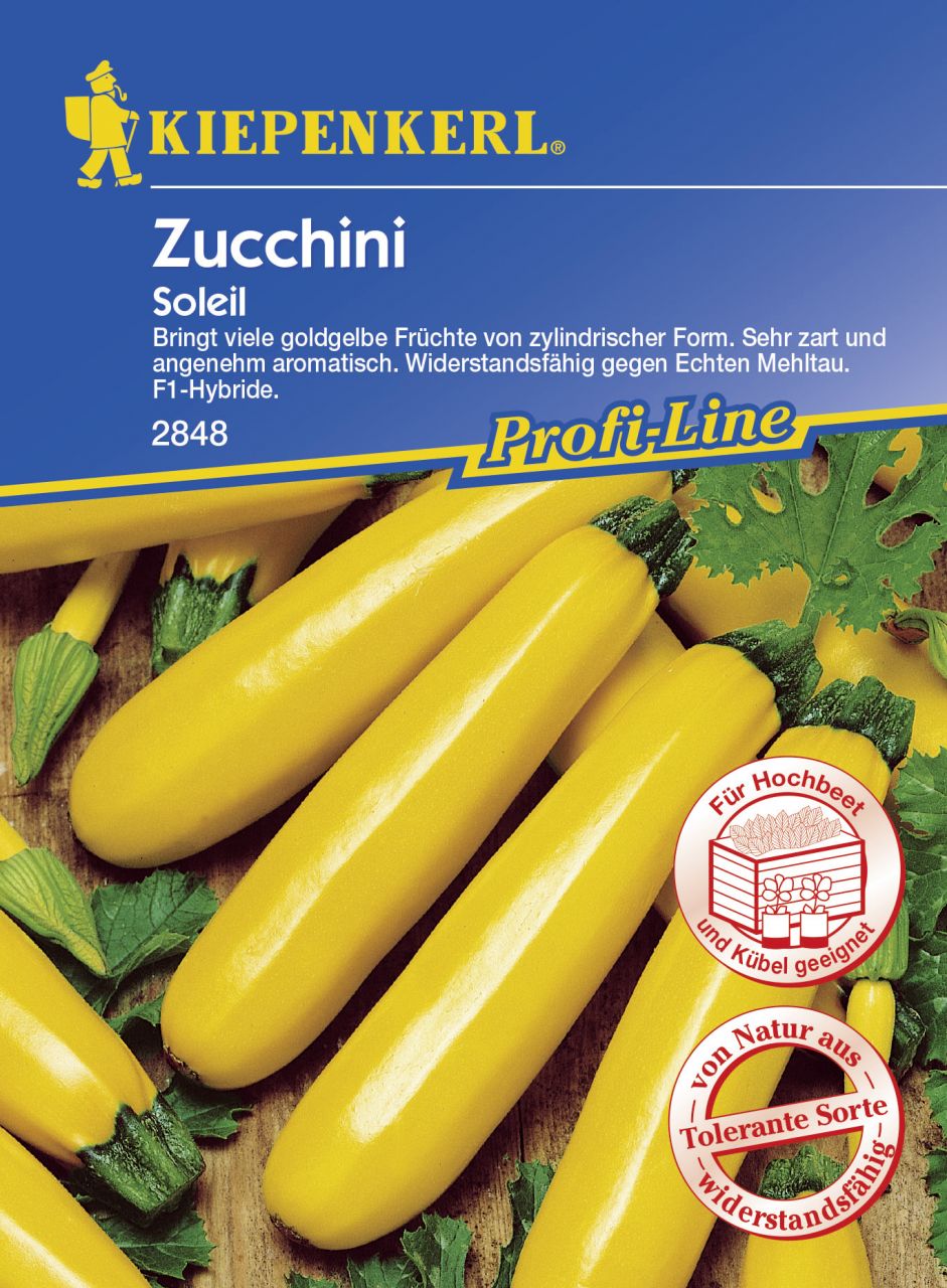 Kiepenkerl Zucchini Soleil F1 - 7 Korn von Kiepenkerl