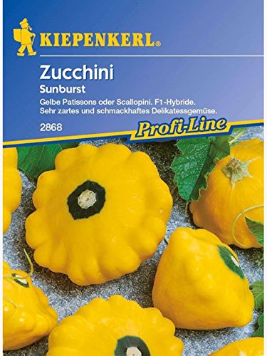 Kiepenkerl Zucchini Sunburst von Kiepenkerl