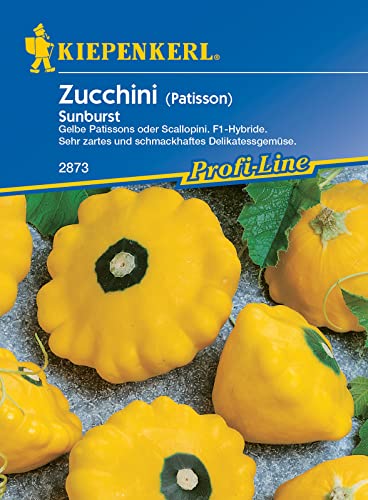 Kiepenkerl Zucchini Sunburst Kiepenkerl Zucchini Sunburst von Kiepenkerl