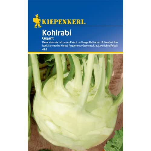 Kohlrabi, 'Gigant' von Kiepenkerl