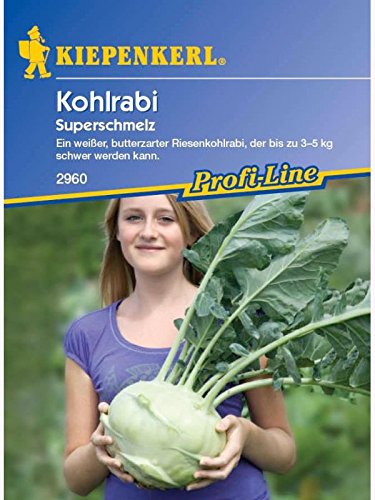 Kohlrabi (Riesen-kohlrabi) 'Superschmelz' von Kiepenkerl